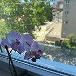 Sunlight - Free Parking & Balcony * Zadar