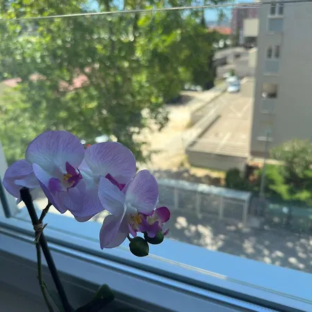 Sunlight - Free Parking & Balcony * Ζαντάρ